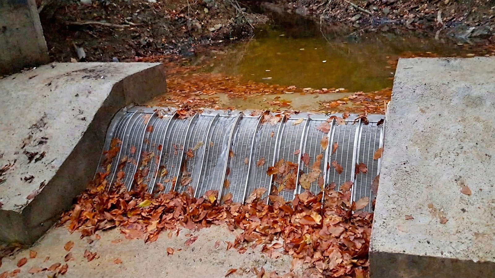 Canal de Cribado Malla Coanda