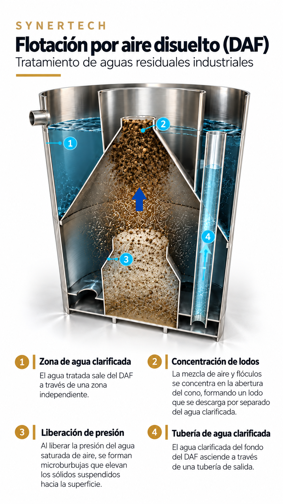 Infografía vertical de funcionamiento y componentes del sistema DAF circular